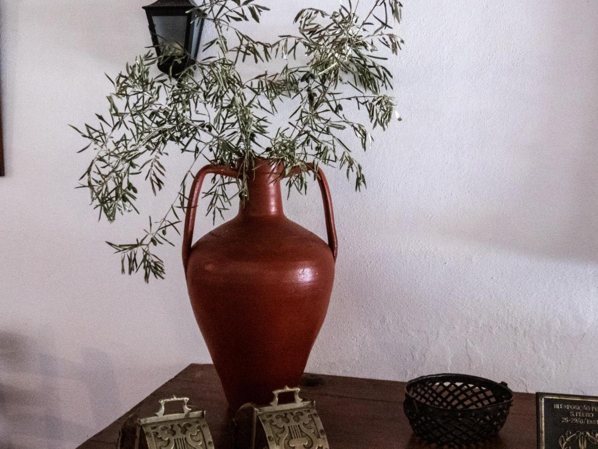 אראיולוס Monte Das Oliveiras מראה חיצוני תמונה